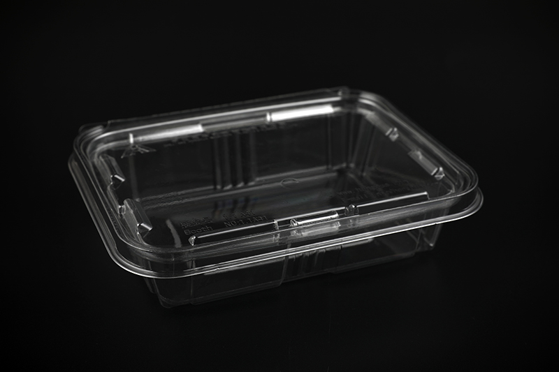 The role and requirements of disposable plastic packaging boxes (1)
